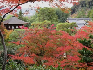 HerbstinKyoto2.JPG