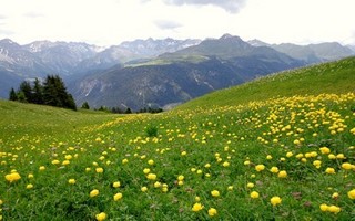 arosa_18.jpg