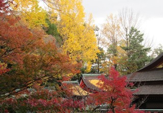 kitano4.jpg